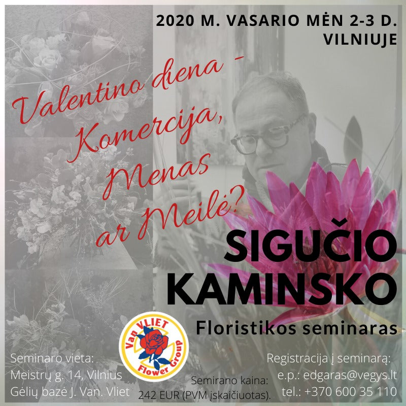 Sigučio Kaminsko Valentino Dienos Floristikos Seminaras Vilniuje