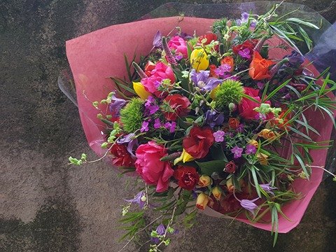 Pievos Iliuzija: Lauko Gėles ir Tulpės
