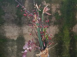 Vėjo Gūsis: Amarilis ir Lauko gėlės